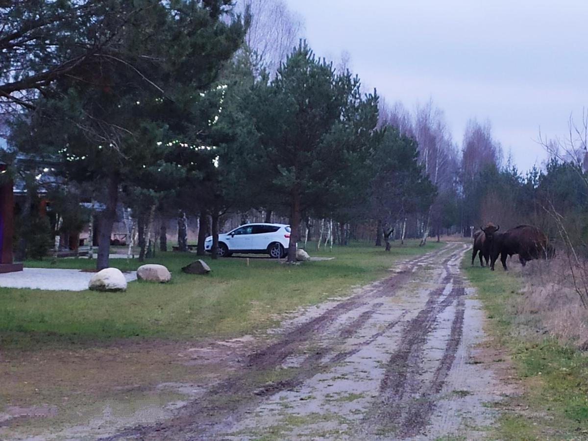 Vila Swironek Białowieża Exteriér fotografie